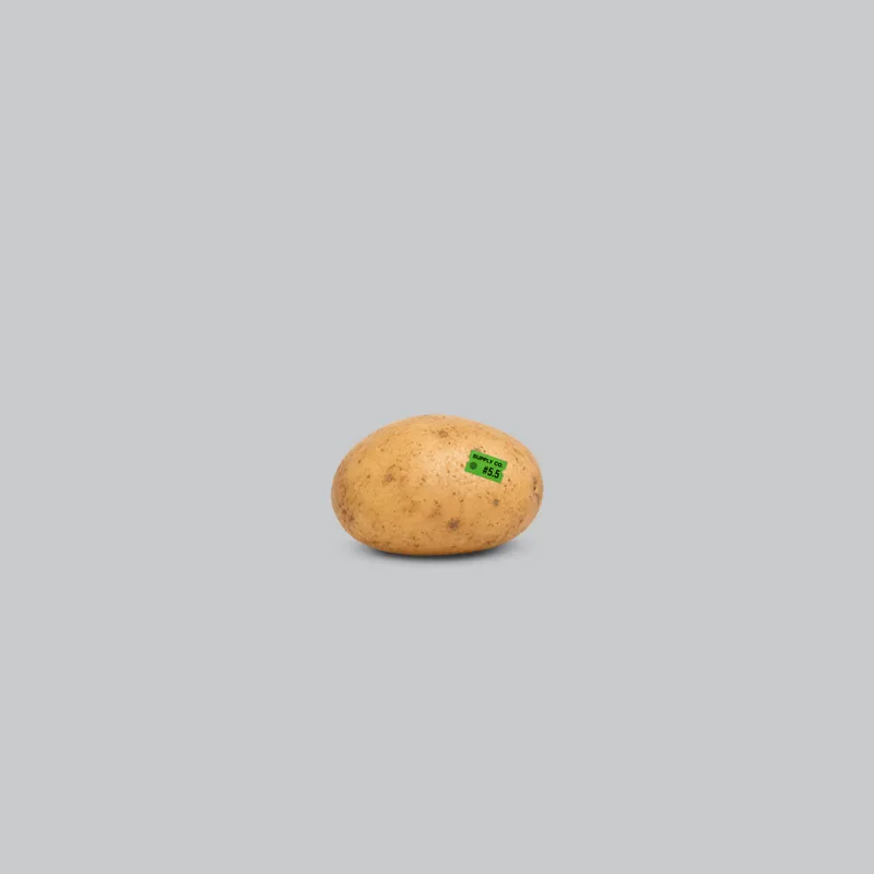 Spud from the OpenAI Merch Museum